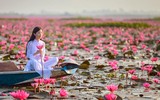 Báo Mỹ lý giải nguyên nhân Hội An được bình chọn là địa điểm đến tốt nhất thế giới