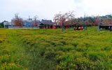 [ẢNH] Những 