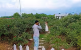 [ẢNH] Những 
