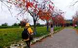 [ẢNH] Những 
