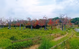 [ẢNH] Những 