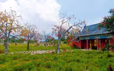[ẢNH] Những 