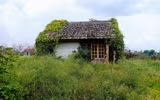 [ẢNH] Những 