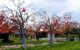 [ẢNH] Những 