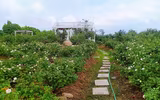 [ẢNH] Những 
