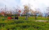 [ẢNH] Những 