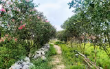 [ẢNH] Những 