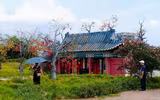[ẢNH] Những 