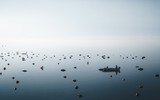 Bức ảnh chụp chè tại Hội An đạt giải tại Cuộc thi ảnh quốc tế CEWE Photo Award