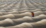 Bức ảnh chụp chè tại Hội An đạt giải tại Cuộc thi ảnh quốc tế CEWE Photo Award