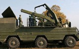 [ẢNH] Hezbollah dùng 'ong bắp cày' Liên Xô bắn hạ trinh sát cơ tối tân của Israel?