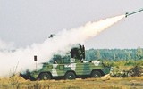 [ẢNH] Hezbollah dùng 'ong bắp cày' Liên Xô bắn hạ trinh sát cơ tối tân của Israel?