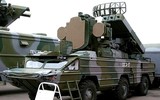 [ẢNH] Hezbollah dùng 'ong bắp cày' Liên Xô bắn hạ trinh sát cơ tối tân của Israel?
