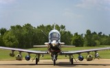 [ẢNH] Việt Nam quan tâm máy bay huấn luyện T-6 Texan II của Mỹ?