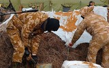 [ẢNH] Nga không thể ngăn Ukraine tấn công quân ly khai miền Đông sau khi Kiev gia nhập NATO?