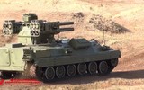 [ẢNH] Việt Nam liệu có lựa chọn hệ thống phòng không Sosna để thay thế Strela-10?