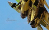 [ẢNH] Phiên bản cực kỳ bí ẩn của tiêm kích hạm J-15 thực chất là gì?