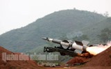 [ẢNH] S-125 Pechora cổ điển 
