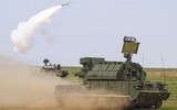 [ẢNH] Chuyên gia Nga: Pantsir-S1 thất bại nặng nề tại Syria buộc Tor-M2U phải nhanh chân 