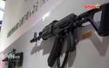[ẢNH] Việt Nam xúc tiến xuất khẩu tàu tên lửa Molniya 1241.8 tại Triển lãm Indo Defence 2018