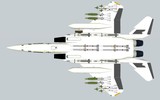 [ẢNH] Không quân Mỹ sắp nhận phiên bản tiêm kích F-15 