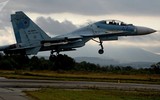 [ẢNH] Không phải Su-35S hay Su-30SM, đây mới là chiếc tiêm kích Nga khiến Ukraine 