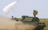 [ẢNH] Thực chiến tệ hại khiến Pantsir-S1 đánh mất vai trò 