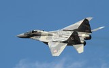 [ẢNH] Tiêm kích MiG-29 Ba Lan vừa rơi được mua với giá... 1 euro