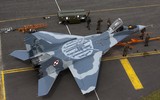 [ẢNH] Tiêm kích MiG-29 Ba Lan vừa rơi được mua với giá... 1 euro