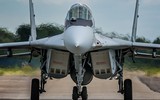 [ẢNH] Tiêm kích MiG-29 Ba Lan vừa rơi được mua với giá... 1 euro