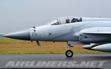 [ẢNH] Pakistan tung bằng chứng chấn động: tiêm kích JF-17 bắn rơi Su-30MKI Ấn Độ