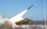[ẢNH] Tình báo Ukraine xâm nhập bắt sống lái xe đầu kéo chở tổ hợp Buk-M1 đã bắn rơi MH17?