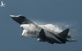 [ẢNH] Tiêm kích tàng hình Su-57 Nga rơi vì bị cài phần mềm gián điệp?