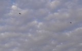 [ẢNH] Trực thăng ‘thợ săn đêm’ Mỹ uy hiếp nghiêm trọng quân cảnh Nga tại Syria