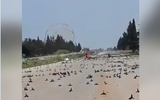 [ẢNH] Nga gửi tối hậu thư cứng rắn chưa từng thấy cho phiến quân nổi dậy tại Idlib, Syria
