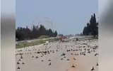 [ẢNH] Nga gửi tối hậu thư cứng rắn chưa từng thấy cho phiến quân nổi dậy tại Idlib, Syria