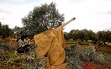 [ẢNH] Phiến quân phát động cuộc tấn công lớn nhất trong tháng nhằm vào quân đội Syria