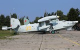 [ẢNH] Ukraine phục hồi thành công máy bay săn ngầm Be-12 từ ‘đống sắt vụn’