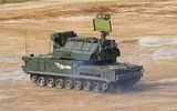 [ẢNH] Một số lượng lớn UAV phiến quân đã bị Tor-M2 Nga bắn hạ tại Syria