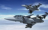[ẢNH] Tiêm kích JAS-39 Gripen Thụy Điển gửi 