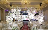 [ẢNH] Những đám cưới đình đám, xa hoa bậc nhất tại showbiz Việt