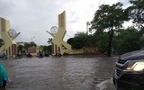 [Ảnh] Người thành phố 