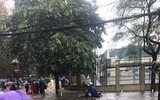 [Ảnh] Người thành phố 