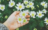 [ẢNH] 20-10 sắp tới, những món quà bất ngờ dành cho phái đẹp