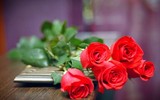 [ẢNH] 20-10 sắp tới, những món quà bất ngờ dành cho phái đẹp