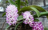 [ẢNH] 20-10 sắp tới, những món quà bất ngờ dành cho phái đẹp