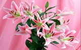 [ẢNH] 20-10 sắp tới, những món quà bất ngờ dành cho phái đẹp