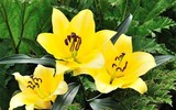 [ẢNH] 20-10 sắp tới, những món quà bất ngờ dành cho phái đẹp