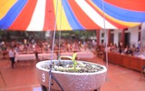 [ẢNH] Khoảnh khắc xúc động phiên đấu giá 32 giò lan của liệt sĩ phi công Khuất Mạnh Trí