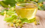 [ẢNH] Cải thiện giấc ngủ nhờ 8 loại trà thảo mộc